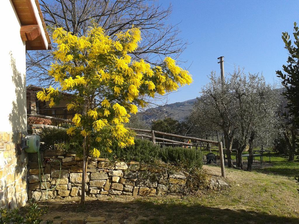 Agriturismo Biologico Poggiopiano Fiesole Exterior photo