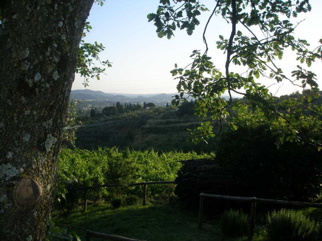 Agriturismo Biologico Poggiopiano Fiesole Exterior photo